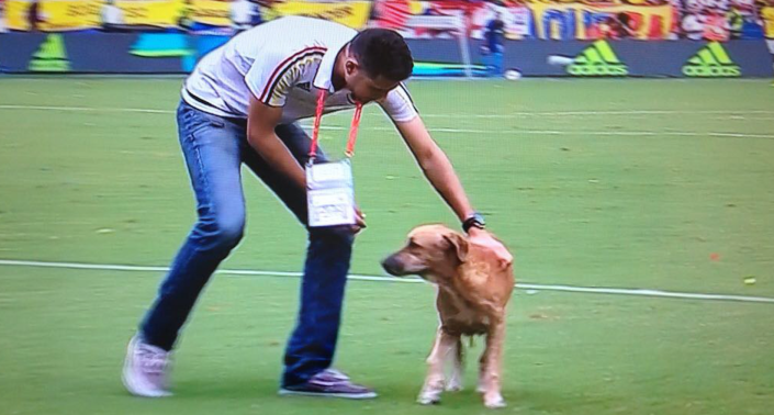 Screen Shot 2017-09-09 at 16.33.00.png